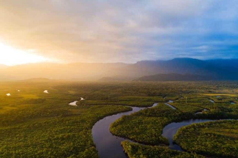 Amazônia Legal terá recursos para projetos de bioeconomia