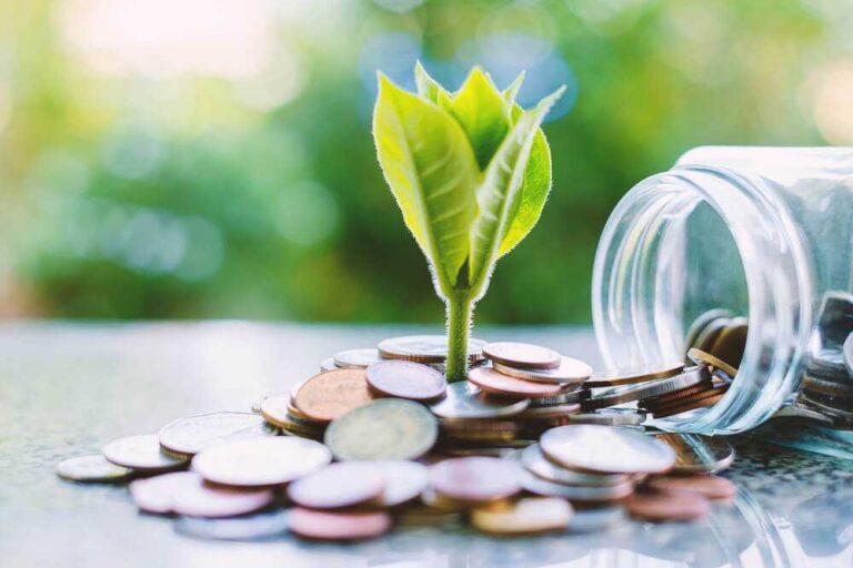 Governo quer padronizar regras para atividades econômicas sustentáveis