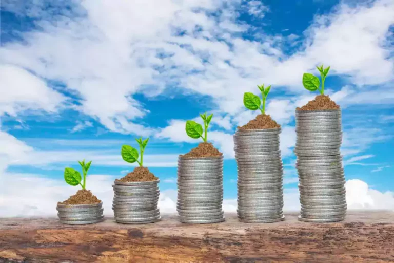 79% dos consumidores tomam decisões de compra por conta da sustentabilidade
