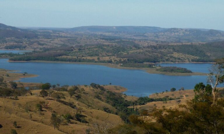 Saiba como o ecoturismo atua no auxílio à preservação desse importante bioma