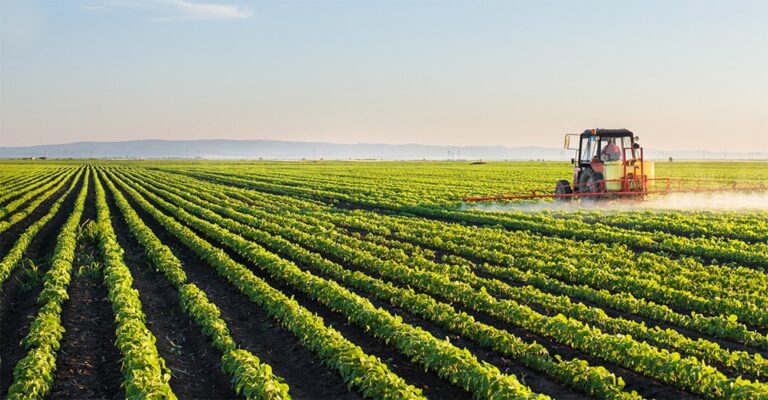 Setores da agropecuária criticam listas de produtos que terão incentivos na reforma tributária