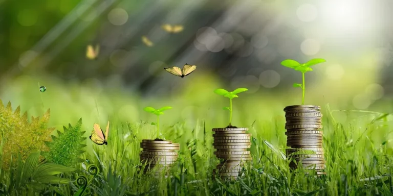 Brasil anuncia operação de emissão de título sustentável no mercado internacional