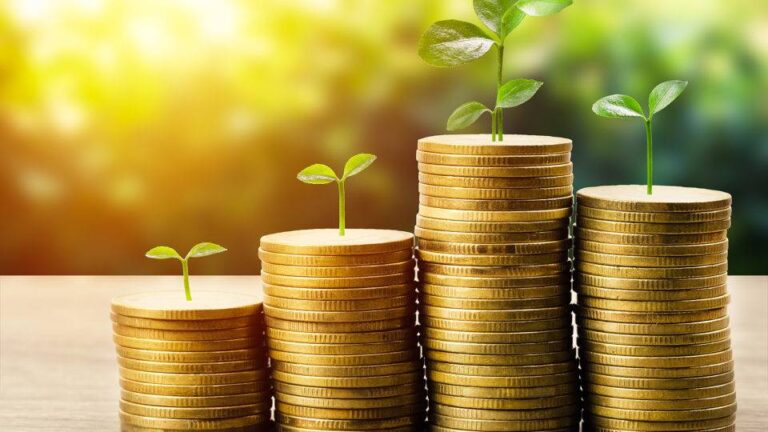 Nova plataforma impulsionará investimentos internacionais verdes