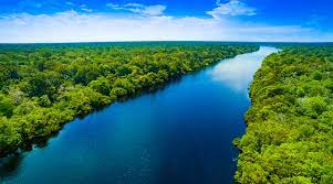 Fundo Amazônia tem melhor semestre da história com R$ 1 bilhão em aprovações