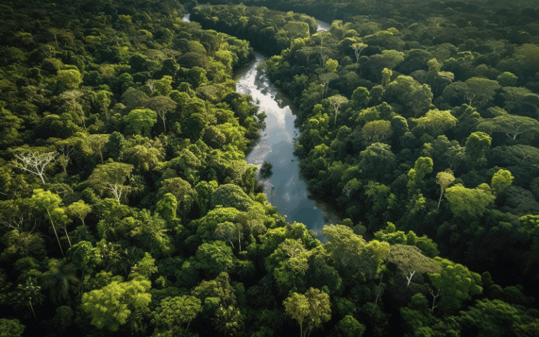 MMA firma parceria para impulsionar recuperação da vegetação nativa nos biomas