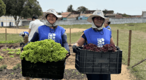 Sesc-RN e Emater assinam convênio que amplia o desenvolvimento de hortas do Sesc Mesa Brasil 