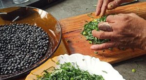 Senac-MG resgata saberes ancestrais e aponta caminhos para o futuro do feijão na cozinha mineira