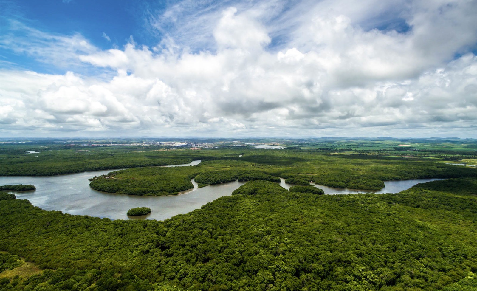 CNC defende ajustes em projeto aprovado pela CMADS sobre repasses do Fundo Clima à Amazônia Legal