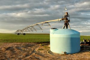 Projeto obriga distribuidoras a ampliar capacidade de energia elétrica em propriedades rurais