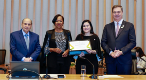 Simone Guimarães recebe título de Cidadã Honorária de Brasília