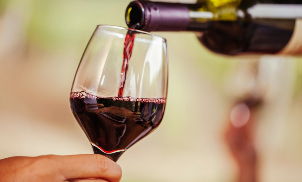 Venda de vinhos em bares e restaurantes revela perfil diversificado e oportunidades de crescimento