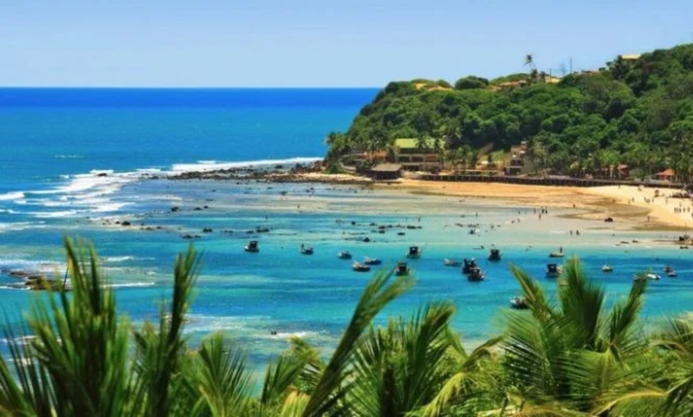 Nordeste lidera o crescimento do turismo aéreo